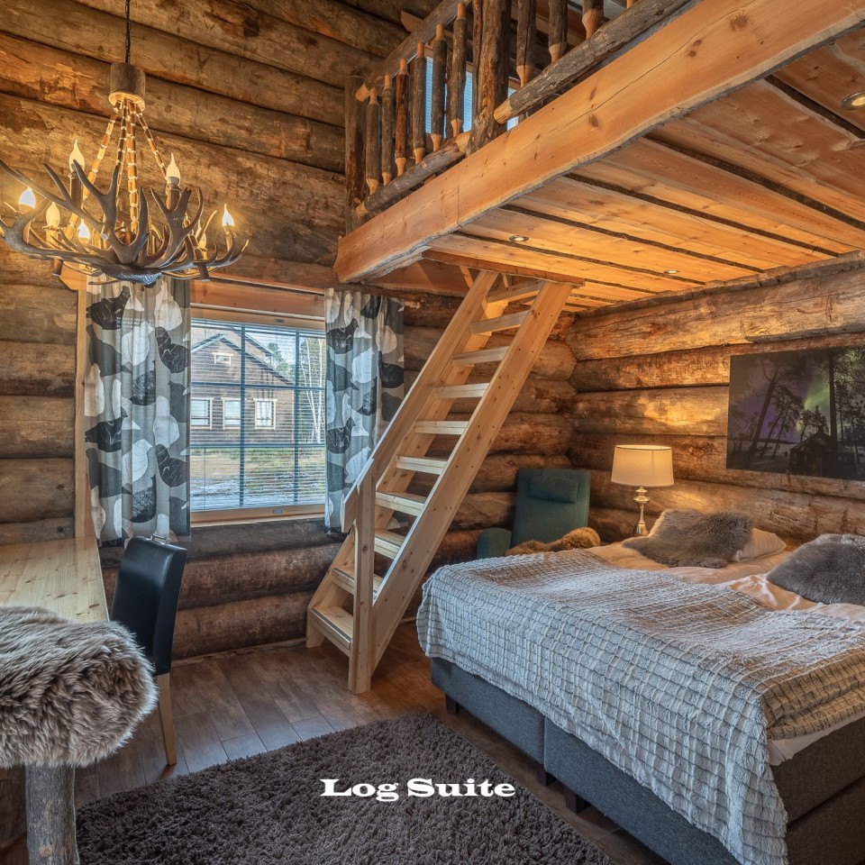 Log Suite